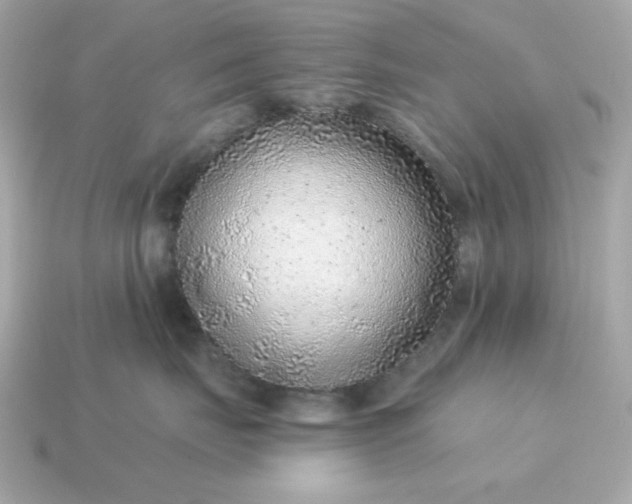 X0000115150671200911101730