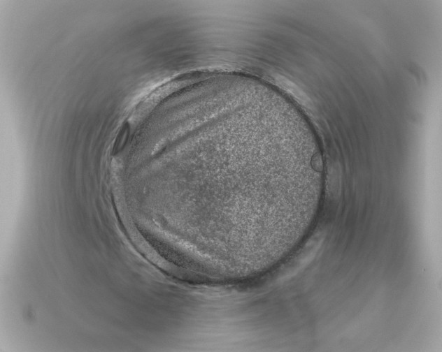 X0000115150673200911101729