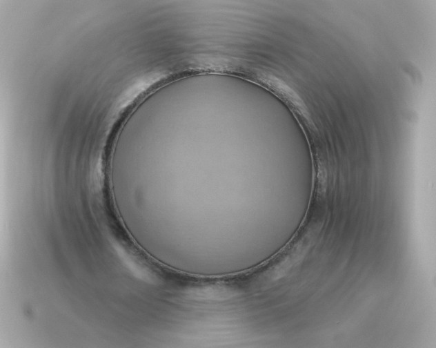 X0000115150674200911101729