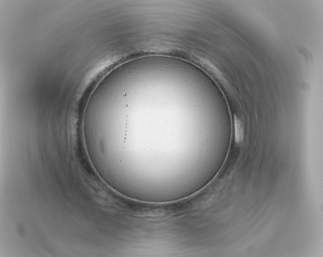 X0000115150675200911101729
