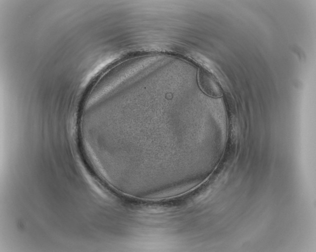 X0000115150677200911101729
