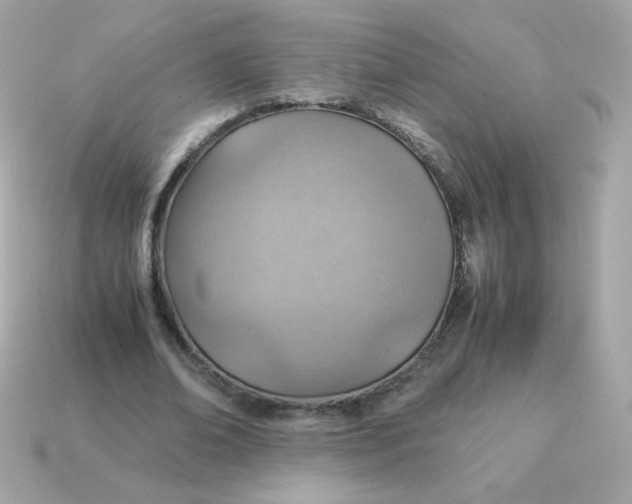 X0000115150678200911101729