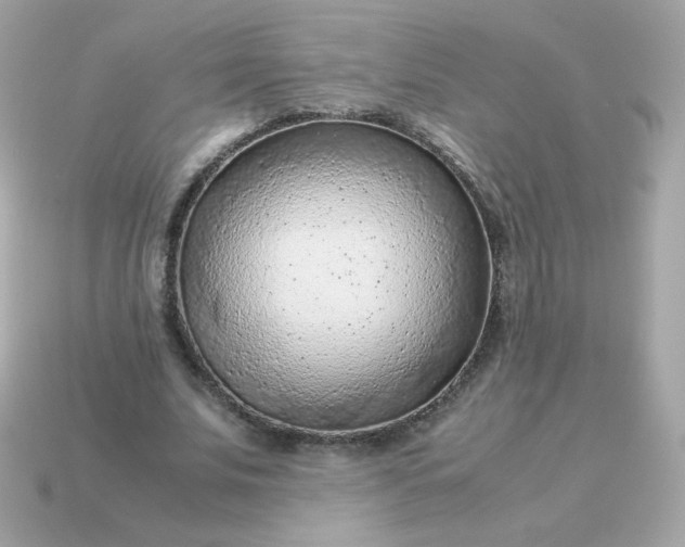 X0000115150679200911101729