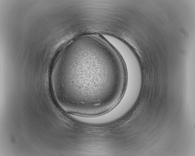 X0000115150681200911101729