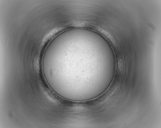 X0000115150682200911101729