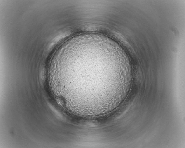 X0000115150683200911101729