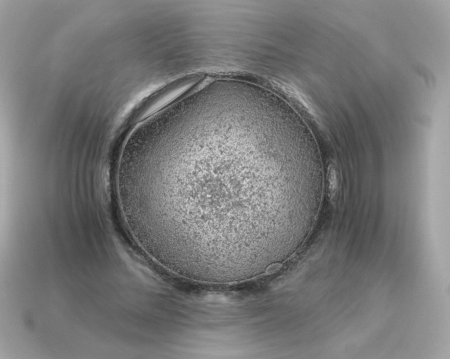 X0000115150684200911101729