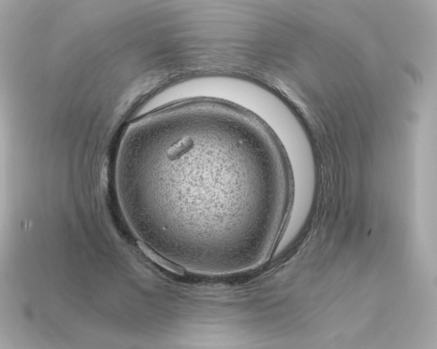 X0000115150685200911101729