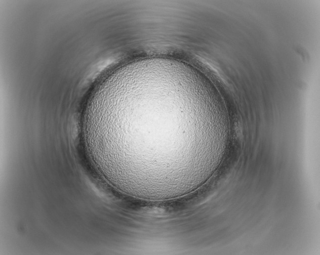 X0000115150687200911101729