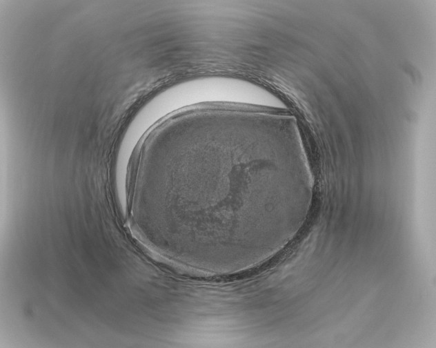 X0000115150689200911101729