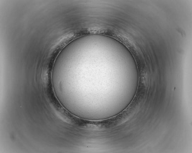 X0000115150690200911101729