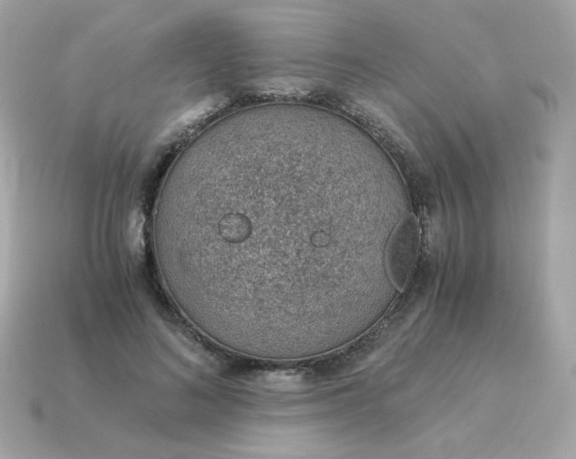 X0000115150692200911101729