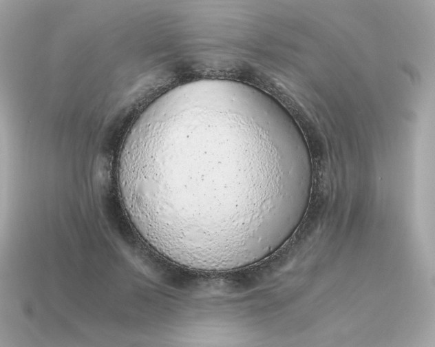 X0000115150695200911101729