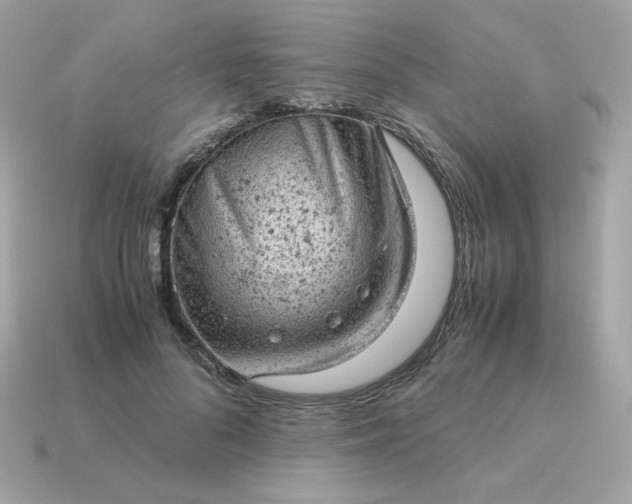 X0000115150696200911101729