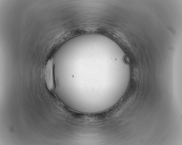 X0000115150697200911101729