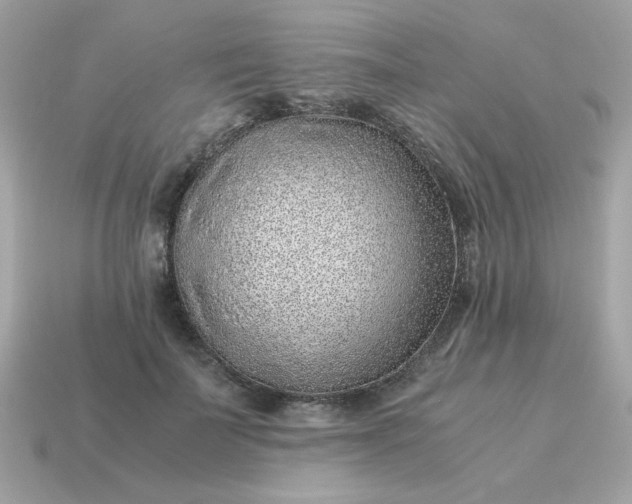 X0000115150699200911101729