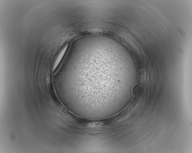 X0000115150700200911101729