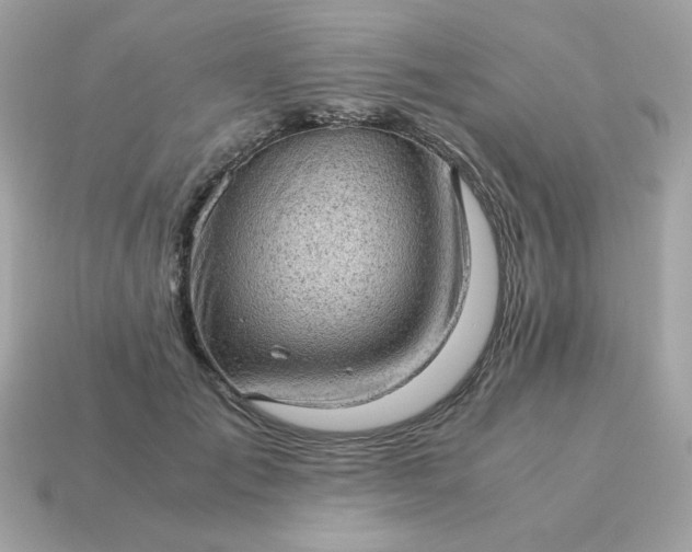 X0000115150701200911101729
