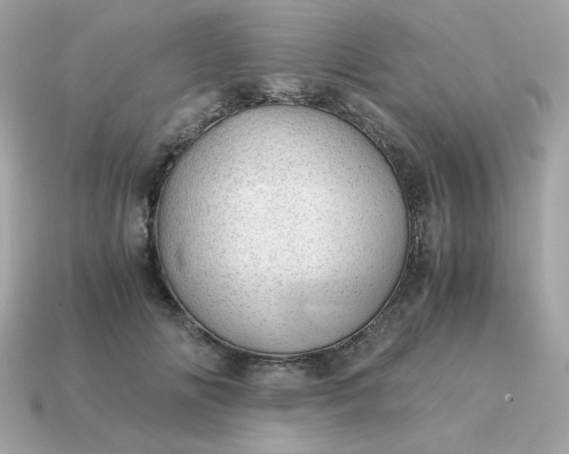 X0000115150702200911101729