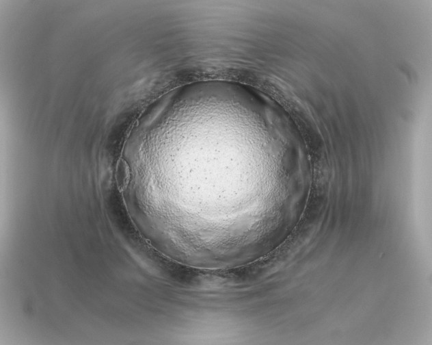 X0000115150703200911101729