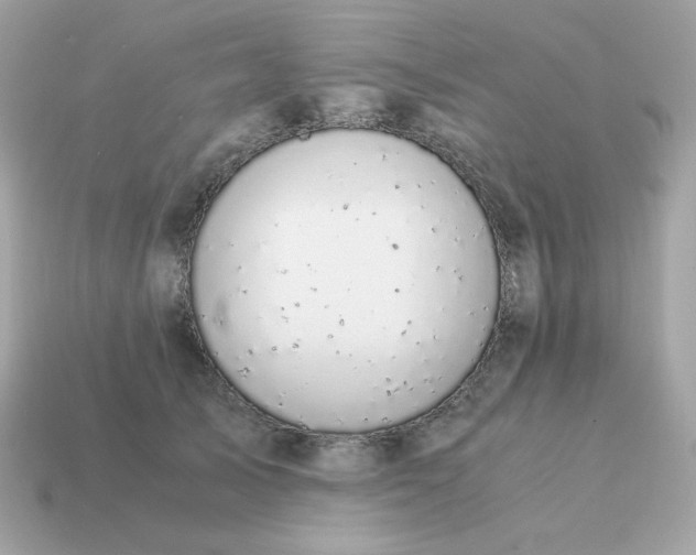 X0000115150705200911101729