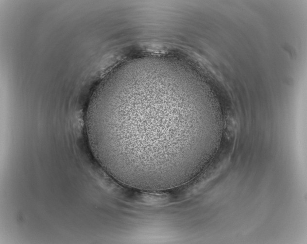 X0000115150707200911101729