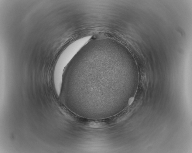 X0000115150708200911101729