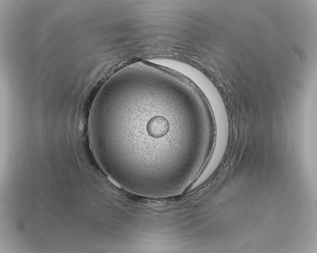 X0000115150709200911101729
