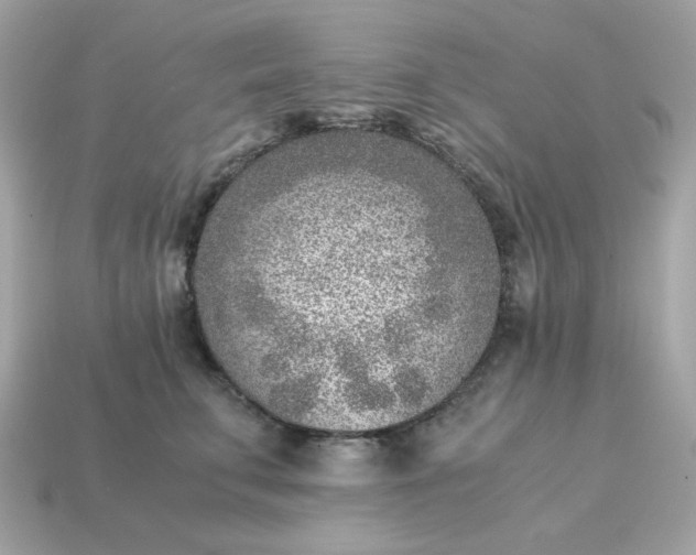 X0000115150711200911101729