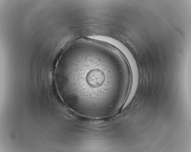 X0000115150716200911101729