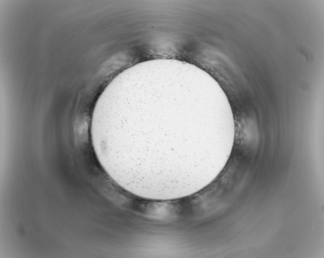 X0000115150717200911101729