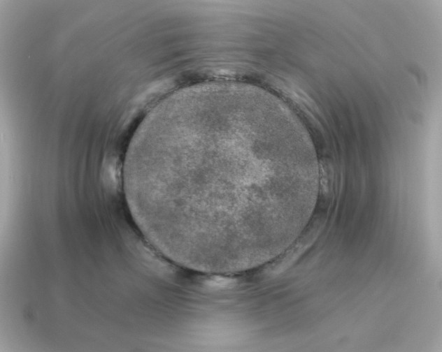 X0000115150718200911101729