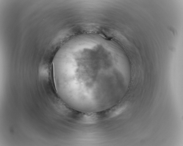 X0000115150720200911101729