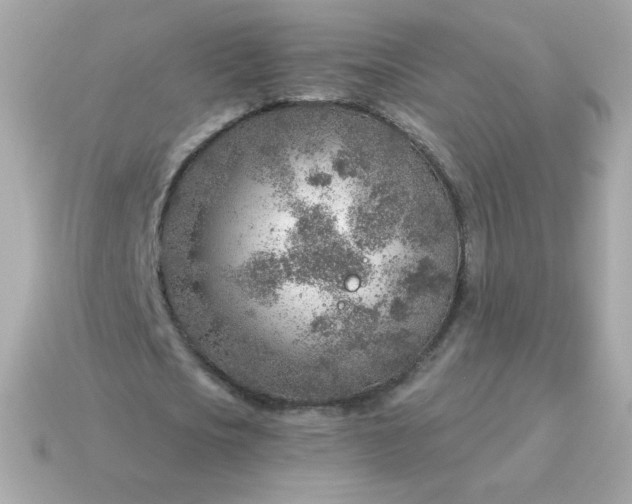 X0000115150721200911101728