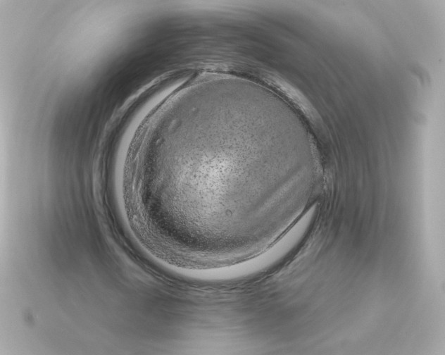 X0000115150722200911101728
