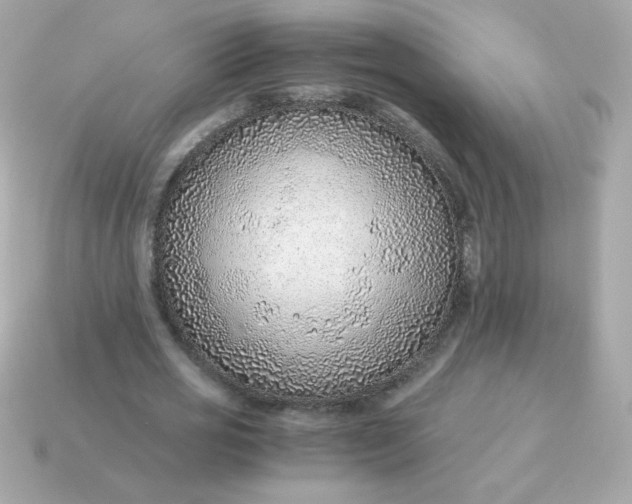 X0000115150725200911101728