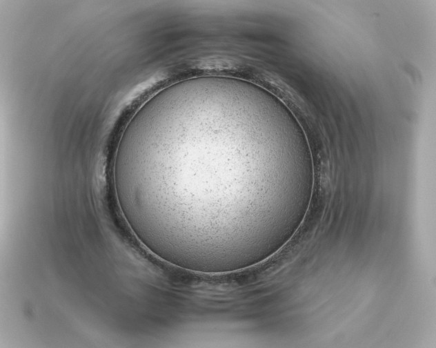 X0000115150727200911101728
