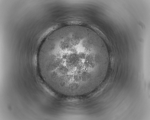 X0000115150729200911101728