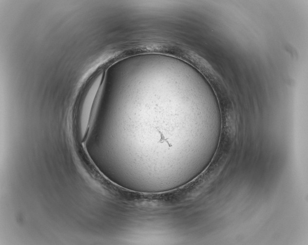 X0000115150730200911101728
