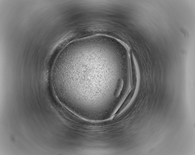 X0000115150735200911101728