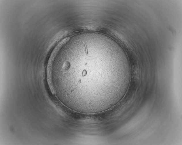 X0000115150738200911101728