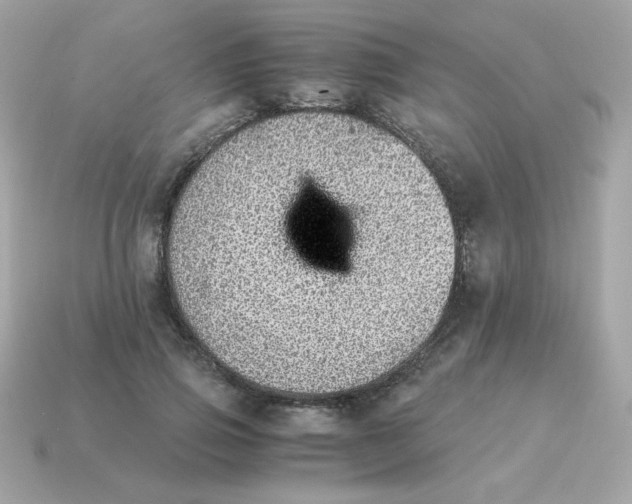 X0000115150741200911101728