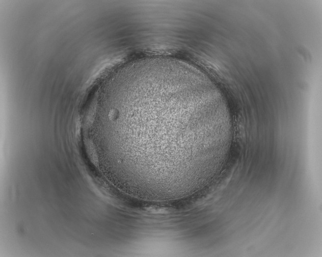 X0000115150742200911101728