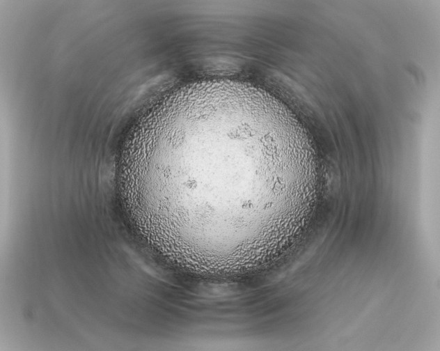 X0000115150745200911101728