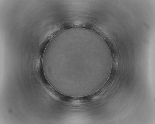 X0000115150746200911101728