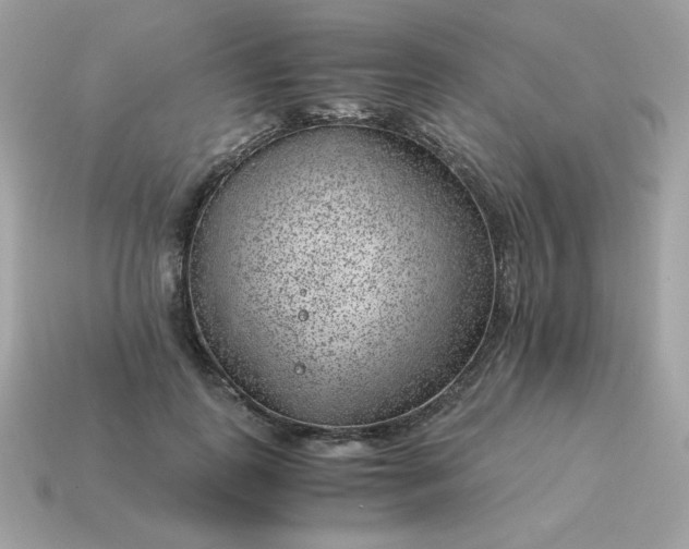 X0000115150747200911101728