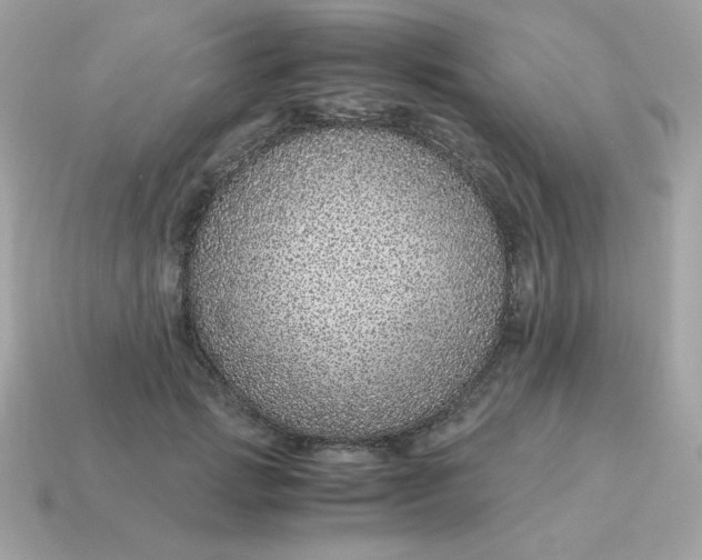X0000115150749200911101728