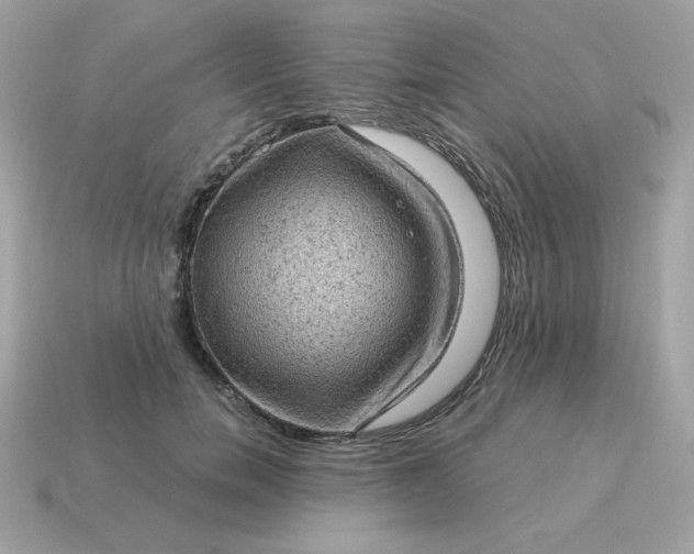 X0000115150750200911101728
