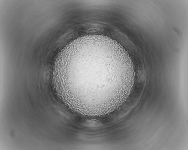 X0000115150753200911101729