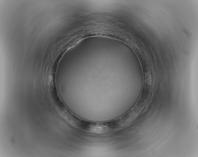 X0000115150754200911101729